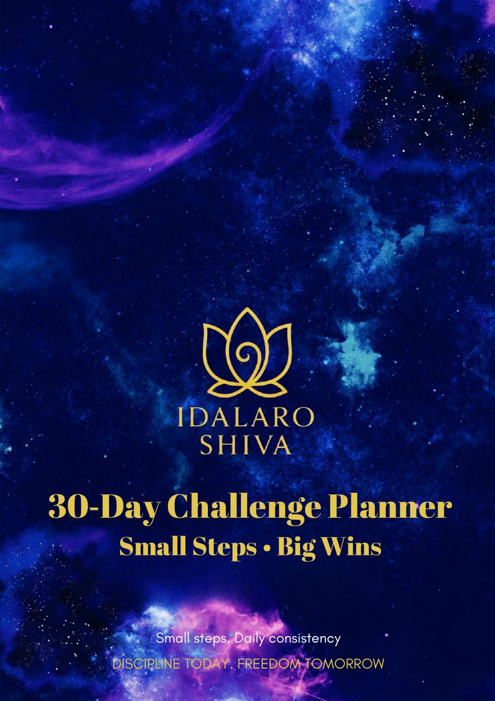 30-Day Challenge Planner cover